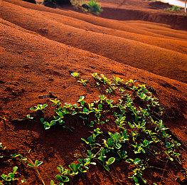 《使命召唤：黑色行动6》未获准在科威特发行 动视将全额退款